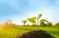 Анализ почв и грунтов