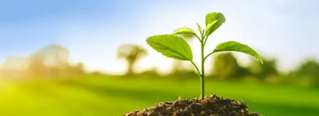 Анализ почв и грунтов